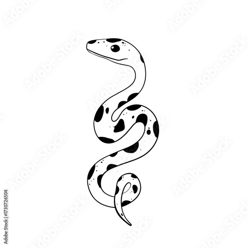 Boa Constrictor. Boa Constrictor simple black and white line art vector logo