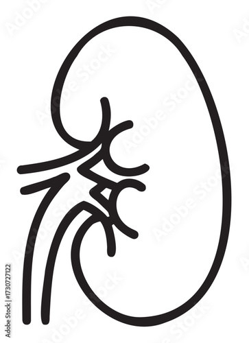 Minimalist black and white line drawing of a human kidney diagram - stock vector