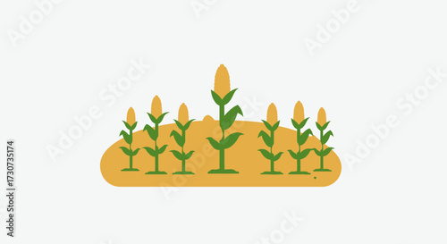 Cornfield Patch Vector Illustration Depicting Agriculture and Rural Life