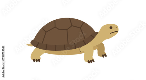 Isolated Illustration of a Tortoise A Cartoon Representation of a Terrestrial Reptile with a Brown Shell and Yellow Legs