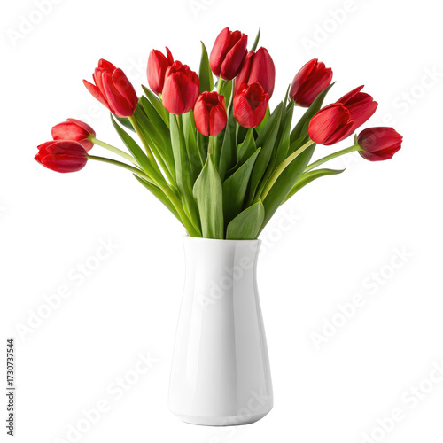 Red tulips in white vase png tulip flowers png red tulip png flower vase png floral arrangement png spring flowers png transparent background image