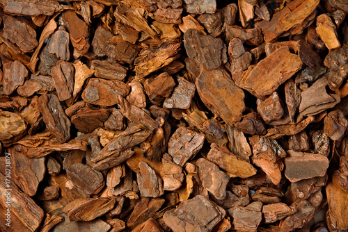Bark tree background.  A pine bark mulch background. 