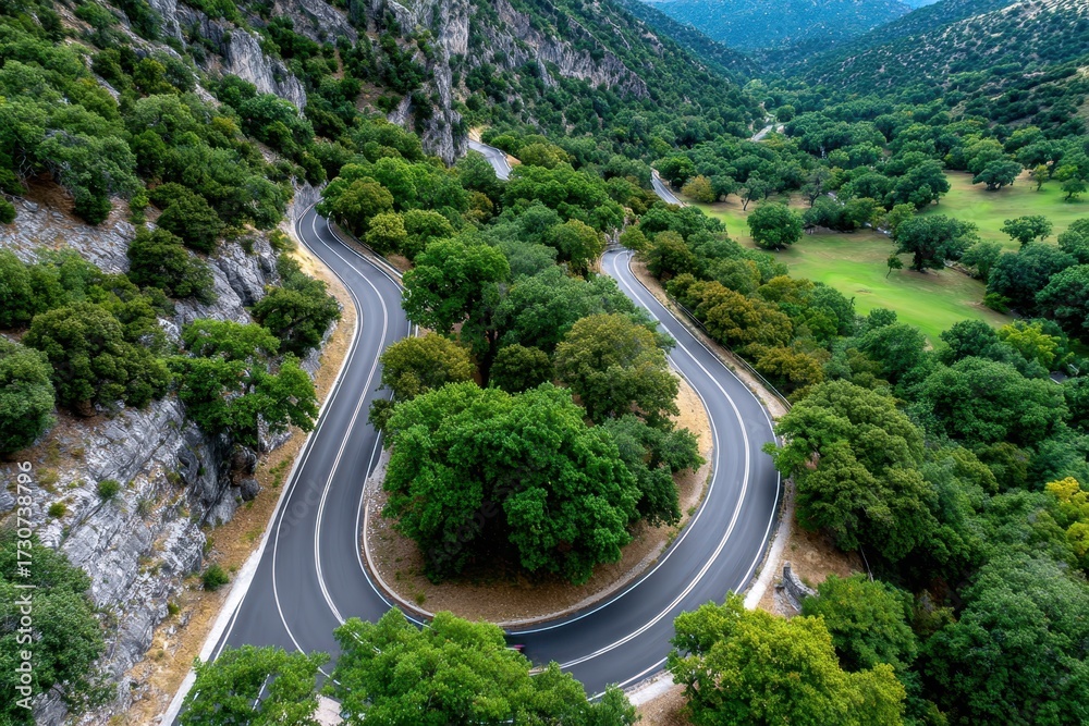 Fototapeta premium Winding mountain road through lush green forest