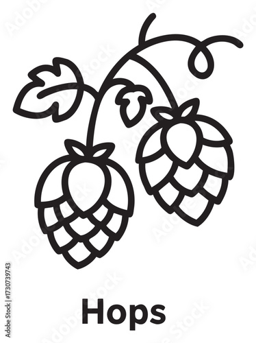 Black and white hops illustration with simple line art design - stock vector