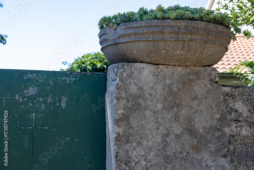 Stone Wall with Green Gate and Potted Plant Under Blue Sky, Grohote, Solta