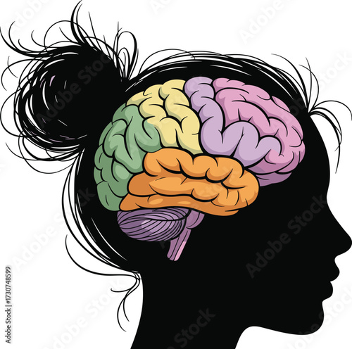 Silhouette of woman head with colorful human brain anatomy illustration, neuroscience concept, psychology design, learning, intelligence, memory, cognitive education