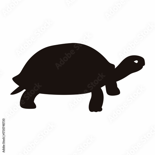 Silhouette of a turtle slowly moving forward on a white background plane