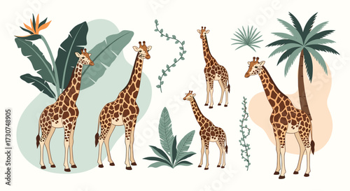 A group of giraffes standing amongst tropical foliage.