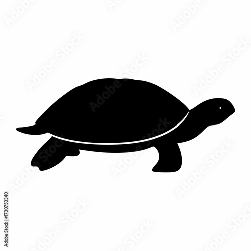 Silhouette of a turtle walking on a white background in vector format