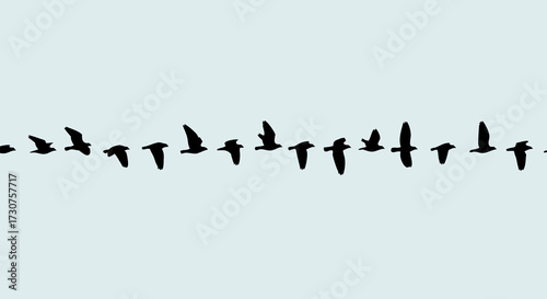 Silhouettes of birds flying in formation across a light blue sky, showcasing migration patterns and the beauty of avian flight in a stylized composition