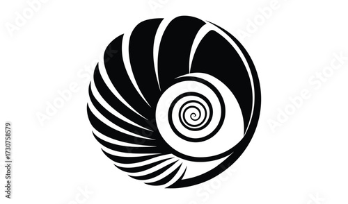 Black and white nautilus shell isolated on white background