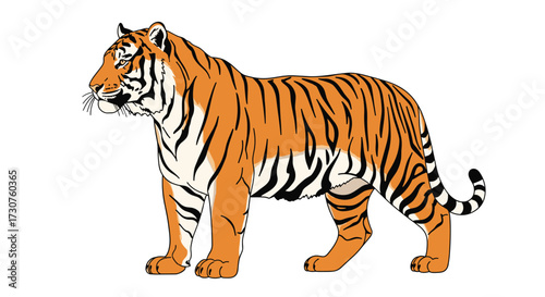 A majestic tiger stands proudly showcasing its vibrant orange fur and dark stripes.