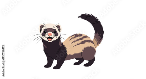 A playful ferret stands on a white background.