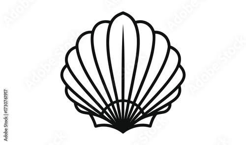 Black and white seashell isolated on white background