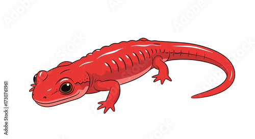 A bright red salamander with small legs and eyes.