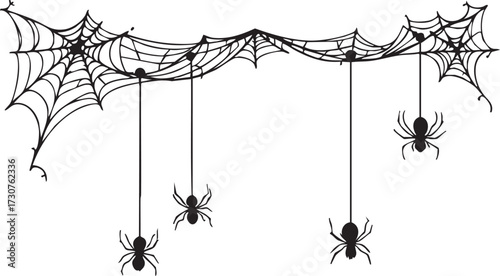 Spooky Halloween Spider Web Border Vector: Black and White Corner Garland with Hanging Spiders and Cobwebs

