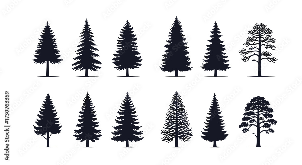 Obraz premium A collection of various evergreen coniferous tree silhouettes and detailed illustrations.
