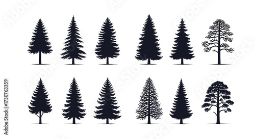 A collection of various evergreen coniferous tree silhouettes and detailed illustrations.