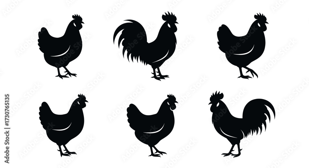 Obraz premium Collection of black silhouettes of roosters and hens on a white background