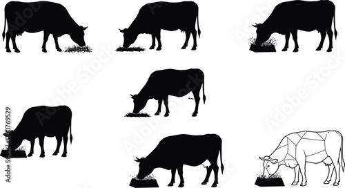 Vector silhouettes of cows eating feed on farm, livestock illustration with rural agriculture elements, animal design for farming and countryside