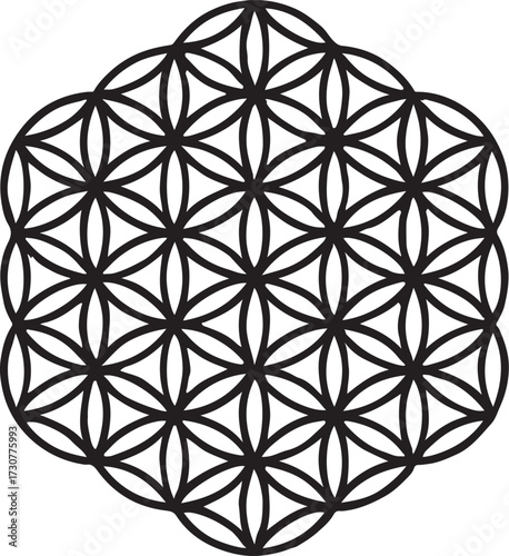 Flower of life pattern silhouette vector in sacred geometry minimal abstract design for spiritual art