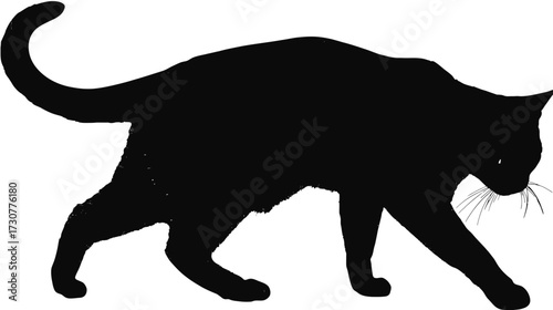 Walking black cat silhouette, domestic feline vector illustration on white background, pet animal graphic cutout