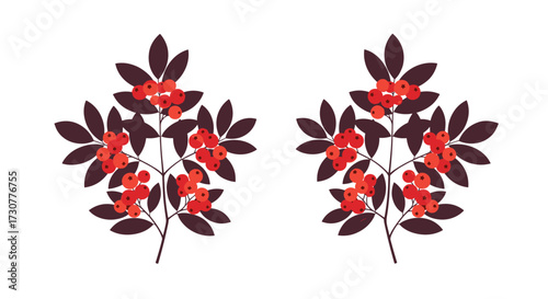 Two ornamental branches with red berries and dark leaves.