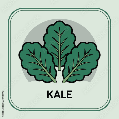 Flat vector National Kale Day design including kale leaf patterns, organic badges, salad bowls, smoothies, and playful cartoon characters in bold outlines and clean solid colors