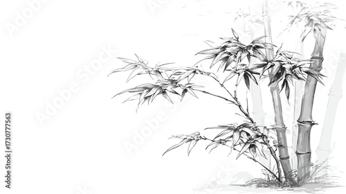 Elegant hand-drawn black and white bamboo plant illustration in traditional Asian ink wash style, minimalist design with ample copy space.