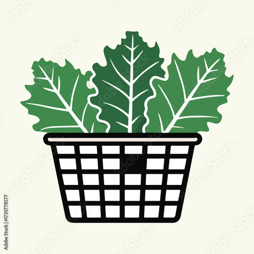 Celebrate National Kale Day with bold vector art of kale leaves, typography, cartoon characters, healthy food icons, and minimalist solid color illustrations for digital and print use