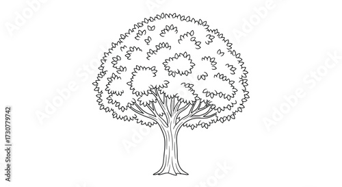 A detailed outline of a majestic deciduous tree with a full crown and sturdy trunk.