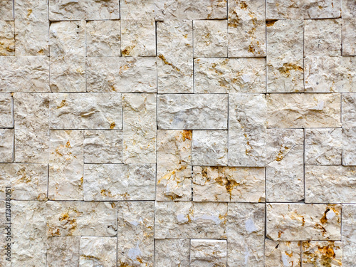 Stone wall made of shelly limestone, it is a highly fossiliferous limestone, composed of a number of fossilized organisms. Background texture, front view