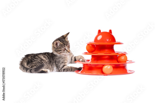 A curious tabby kitten plays with an orange cat toy featuring three levels of spinning balls. The playful feline is captured mid-movement against a clean white background.