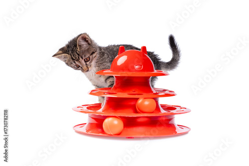 A curious tabby kitten plays with an orange cat toy featuring three levels of spinning balls. The playful feline is captured mid-movement against a clean white background.