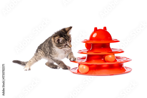 A curious tabby kitten plays with an orange cat toy featuring three levels of spinning balls. The playful feline is captured mid-movement against a clean white background.