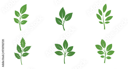 A collection of vibrant green leaf illustrations on a white background