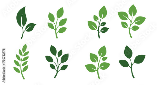 Collection of vibrant green leaf illustrations presented in various shapes and sizes