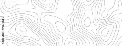 Abstract topographic wavy line art background. Geographic line contour map. Seamless ornament design. White wave paper curved reliefs background.