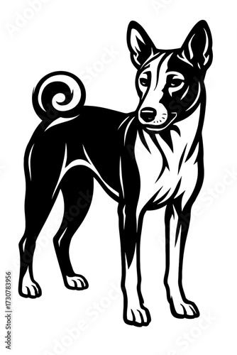 Basenji Dog Vector Illustration - African Barkless Breed