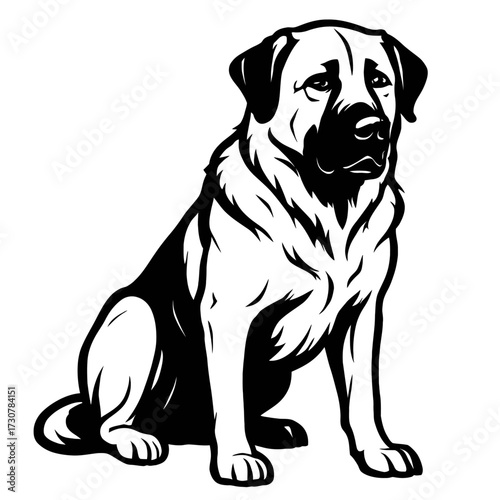 Bernese Mountain Dog Vector Illustration - Pet Graphic