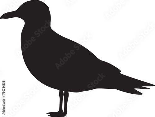Black Silhouette of a Standing Seabird