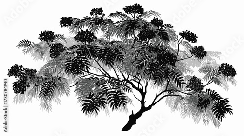Black and white vector illustration of a lush tree with dense foliage, a botanical drawing representing nature, growth, and natural beauty.