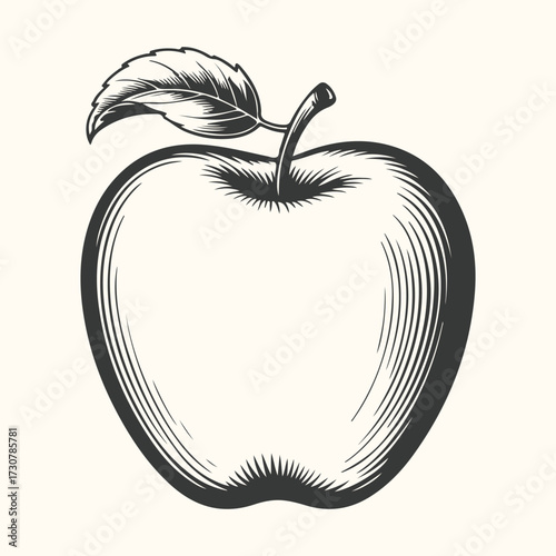 Vector art of silhouette of a businessman working on a laptop computer at a desk with a desk lamp illuminating the scene, apex solutions logo and tagline at the bottom