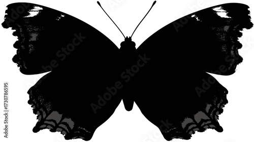 Elegant black butterfly silhouette isolated on white background, intricate insect wing design, vector graphic element for nature concepts