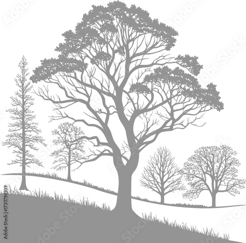 Scenic tree silhouettes on a hillside landscape in gray tones. Natural forest design elements ideal for backgrounds, eco themes, and creative artwork. Perfect for decoration and illustration.