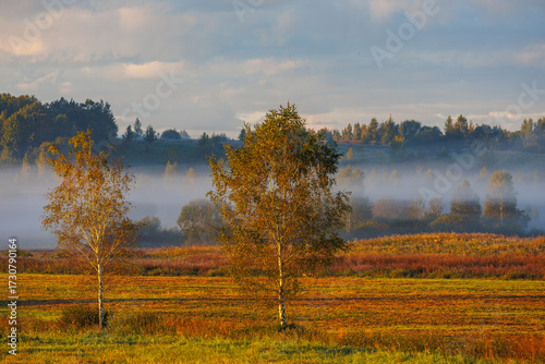 Experience a Serene Misty Morning in the Vibrant Autumn Landscape, filled with beauty