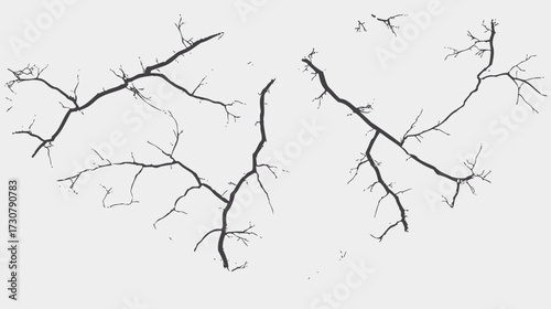 Abstract cracked dry texture on white background, intricate branching pattern, distressed surface effect design element