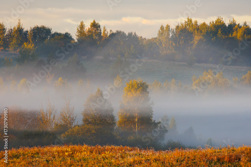 Experience a Serene Misty Morning in the Vibrant Autumn Landscape, filled with beauty