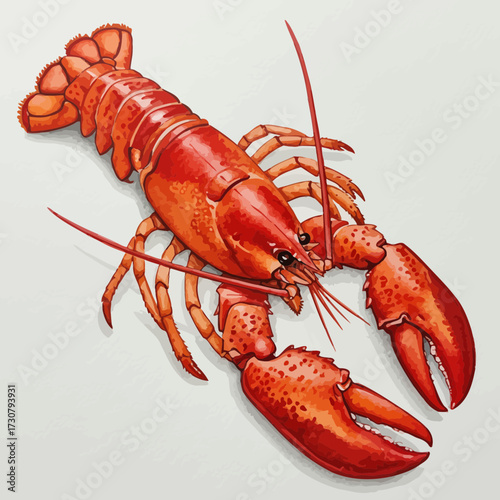 Watercolor drawing of a vibrant red cooked lobster on a pale background with detailed shading, concept for seafood menu illustration, culinary design and restaurant promotion