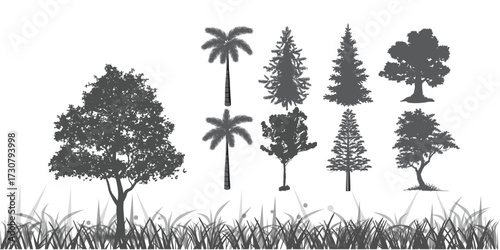 
CAD Drawings. Minimal style cad tree line side view, set of graphics trees elements outline symbol for architecture and landscape design drawing. Vector illustration